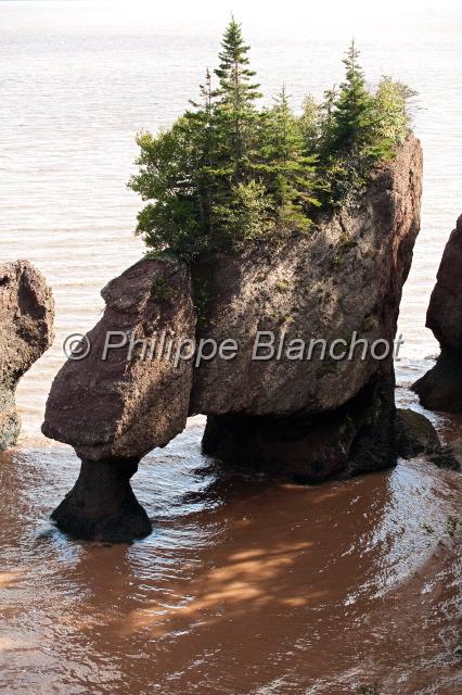 canada nouveau brunswick 21.JPG - Hopewell Rocks, Baie de Fundy, Nouveau-Brunswick, Canada